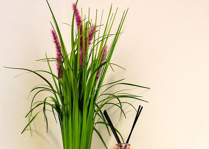 Flataid Cityapart Geidorf Apart-hotel