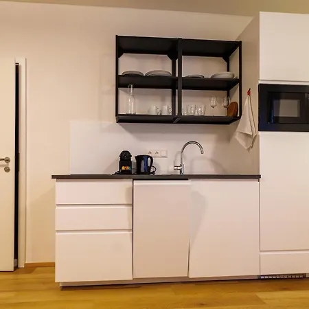 Flataid Cityapart Geidorf 아파트호텔 그라츠