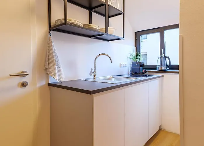 Flataid Cityapart Geidorf 4* غراتس